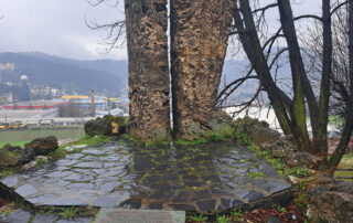Uzice (3)